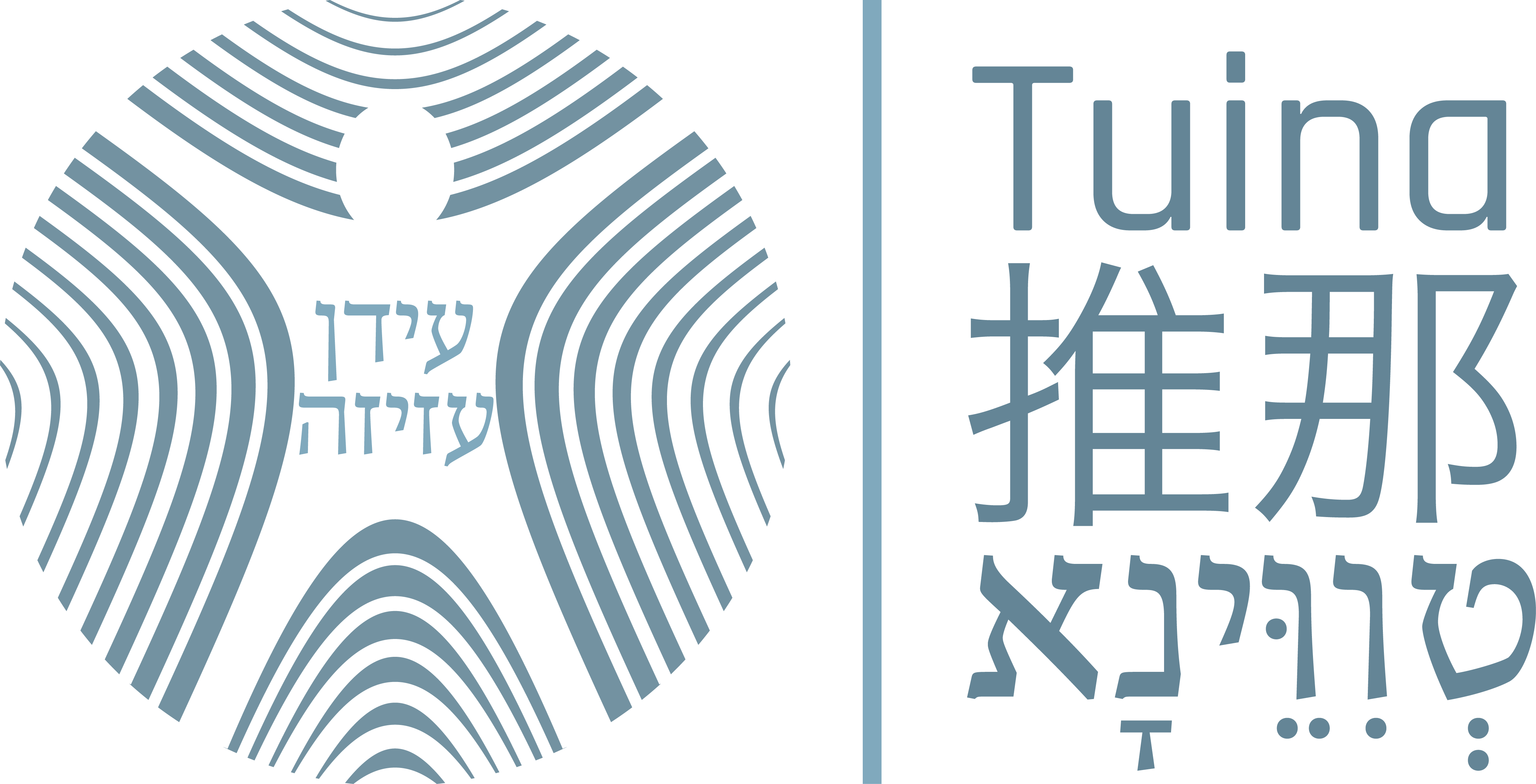 Tuina 推那 - עידן עזיזה